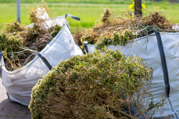Best Carpet Removal and Disposal  in Springville, IA